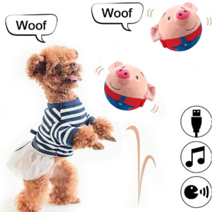 VibraBall! Le fun pour chien